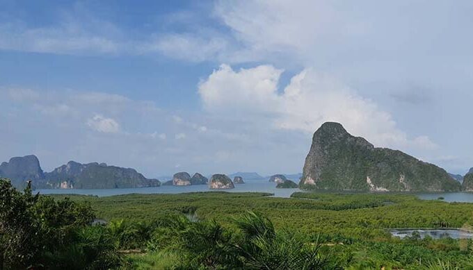 ขายที่ดิน เสม็ดนางชี